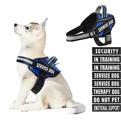 Dog Vest Harness and Patches Set, Animire in Training Service Dog Harness with 10 Dog Patches, Reflective Dog Vest with Handle for Small, Medium, Large, and Extra-Large Dogs - color: Blue, size: SMALL (Chest: 17.5-23 Inch)