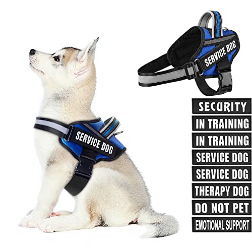 Dog Vest Harness and Patches Set, Animire in Training Service Dog Harness with 10 Dog Patches, Reflective Dog Vest with Handle for Small, Medium, Large, and Extra-Large Dogs - color: Blue, size: SMALL (Chest: 17.5-23 Inch)