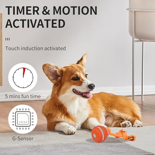 2PCS Interactive Dog Toys Dog Ball,Automatic Rolling and Bouncing Moving Dog Toy,Squeaky Rolling Balls with Flashing Light,USB Rechargeable Chew Toys for Puppy Small Dogs, Pet Ball to Keep Them Busy - color: 1 Orange+1 Blue