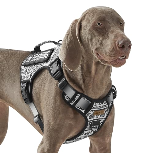 AUNZO Tactical Dog Harness for Extra Large Dog Breeds, No Pull Adjustable Pet Harness with Handle, Reflective K9 Military Service Dog Vest for Walking Hiking Training, Black Ethnic, XL - color: Black Ethnic, size: Extra Large