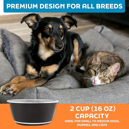 Master Pet Supply Stainless Steel Dog Bowls Set of 2 (16 Oz Each) with Non-Slip Rubber Base - Black Velvet - Basic Dog Food Bowl Water & Food Bowls for Small Medium Large Dogs & Cats, Metal Dish - color: Black Velvet, size: 2 Cups (16 oz) 2 Pack