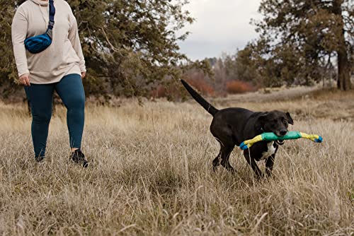 Ruffwear, Pacific Loop Dog Toy, Interactive Tug Toy for Playing and Training, Aurora Teal - color: Aurora Teal