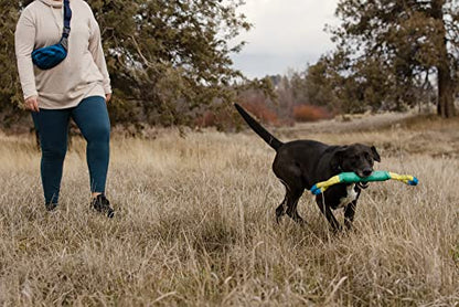 Ruffwear, Pacific Loop Dog Toy, Interactive Tug Toy for Playing and Training, Aurora Teal - color: Aurora Teal