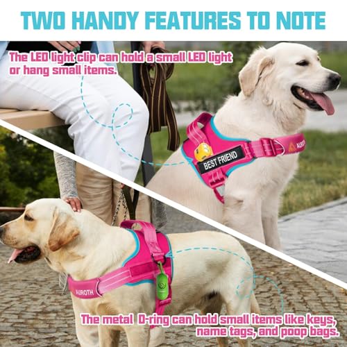 AUROTH Dog Harness and Leash Set, Soft Padded Service Dog Vest with 5.25FT Dog Leash, No Choke, Easy On Pet Vest, Adjustable Reflective No Pull Pet Vest Medium Sized Dog, Easy Walking and Training - color: Rose Red, size: Medium