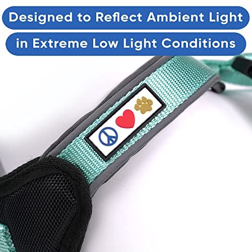 Pawtitas Reflective Padded Dog Harness for X-Small Dogs – Adjustable Puppy Step-in Vest | Fits Chest 14–18 in | No Pull Training Harness | XS | Teal - color: Teal, size: X-Small (Pack of 1)