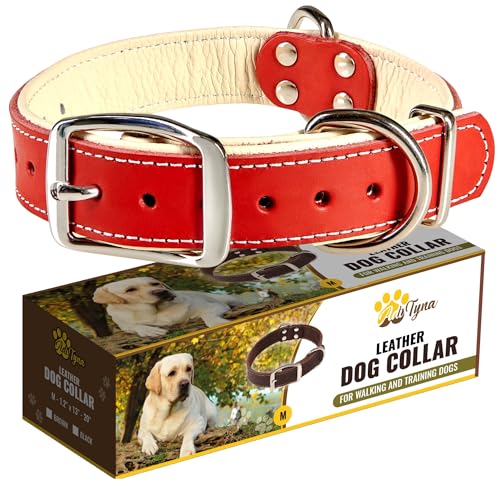 ADITYNA Heavy-Duty Leather Dog Collar for Medium Dogs - Soft Padded for Comfort - Red Dog Collar for Walking, Training, and Hiking - color: Red, size: Medium: Fit 13-20" Neck