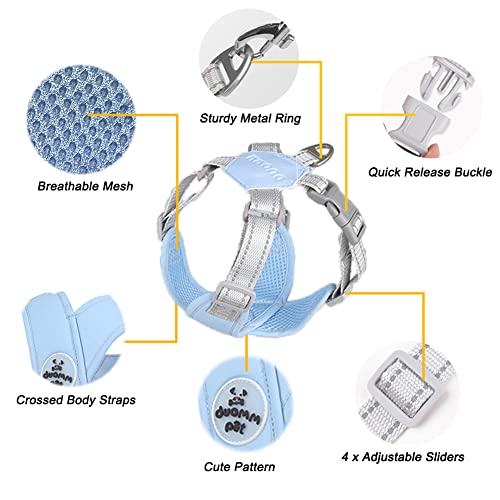 Dog Harness Pet X Frame No Pull Step-in Harnesses with Leash Set, Adjustable Reflective Choke Free Puppy with Padded Vest for Small, Medium Dogs and Cats Walking Training - color: Blue, size: Small