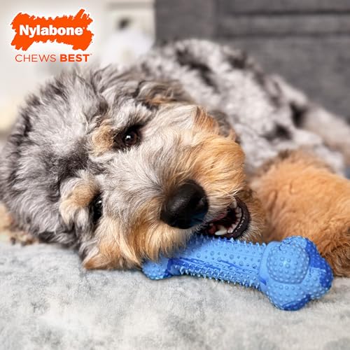 Nylabone Double Action Bone Strong Chew Toy for Dogs, Natural Rubber Dog Toy for Boredom, Peanut Butter Flavor, Large Dogs - Up to 50 lbs, 1 Count - size: Large