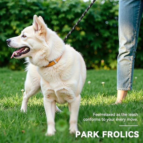 Hands Free Dog Leash, Heavy Duty Waist Leash for Dog Walking Running, Durable 9.8FT Multi-Function Dog Lead No Pull for Medium Large Dogs, Professional Tangle Free Reflective Control Lead - color: Reflective-Black