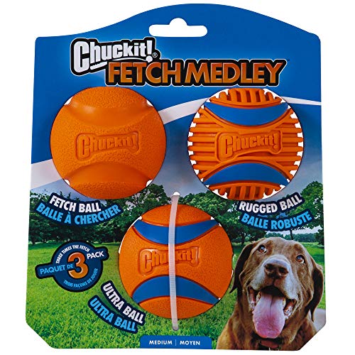 Chuckit! Dog Toy Bundle: 12-Inch Ultra Fetch Stick with 3-Pack Medium 2.5-inch Interactive Fetch Balls Set