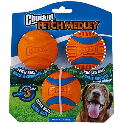 Chuckit! Dog Toy Bundle: 12-Inch Ultra Fetch Stick with 3-Pack Medium 2.5-inch Interactive Fetch Balls Set