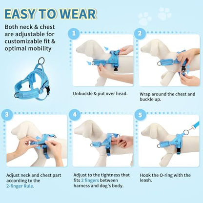 Lukovee No Pull Dog Harness and Leash Set, Soft Padded Small Dog Harness, Neck & Chest Adjustable Reflective Vest Puppy Harness with 4ft Lightweight Anti-Twist Dog Leash for Small Dogs (LBL, XXS) - color: Light Blue, size: XXS ( Chest 11.5'' ~ 15'')
