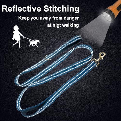 Dual Padded Handle Walking and Training Standard Leashes for Large Dogs with Reflective Stitching, 360° Rotatable Heavy Duty Metal Buckle, D-Ring, Durable Nylon, 6Ft Long 1" Wide - color: Blue, size: 6Ft