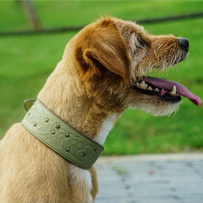 Blueberry Pet Premium Embossed Sage Green Glam Silver-Powered Freshness Microfiber Leather Dog Collar with Antique Brass Studs - color: Sage Green, size: Medium