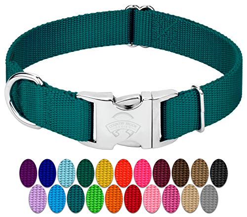 Country Brook Petz - Premium Nylon Dog Collar with Metal Buckle for Small Medium Large Breeds - 10+ Cool Colors (Small, 3/4 Inch, Teal) - color: Teal, size: Small (Pack of 1)