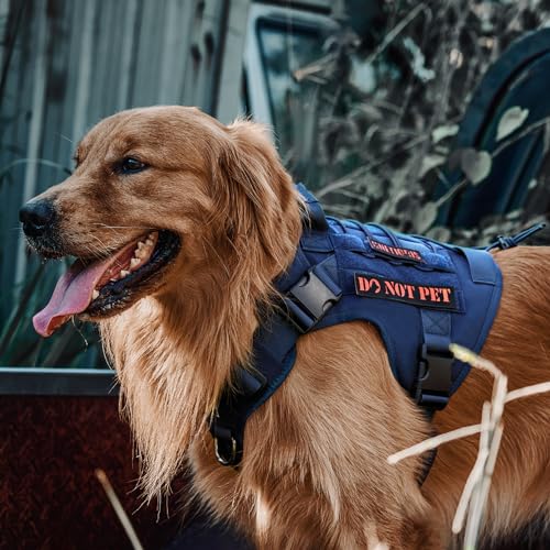 OneTigris Tactical Dog Harness Vest,No-Pull Service Dog Vest with Hook & Loop Panels,Adjustable Dog Vest Harness for Walking Hiking Training(Blue,XS) - color: Blue, size: XS