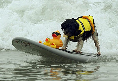 TESOON Adjustable Dog Life Jacket Reflective Quick Release - color: Orange, size: Small