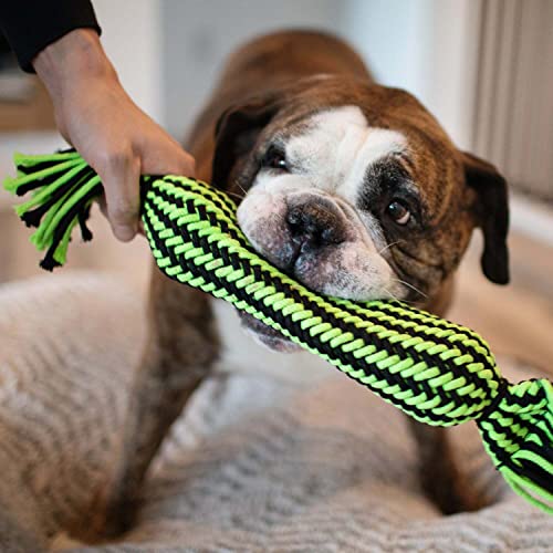 Jolly Pet Knot-N-Chew Tube Squeaker Green/Black Small/Medium - color: Tube Squeaker, size: Small/Medium