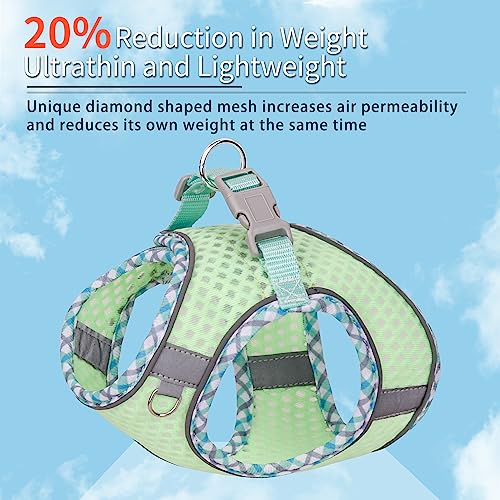 Summer Soft Dog Harness and Leash Set,Ultra Thin Breathable Diamond Mesh, Step in Adjustable Dog Harness with Padded Vest for Medium Size Dogs in Hot Weather Sage L - color: Sage, size: L