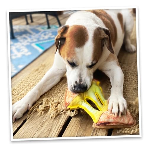Doggijuana Cafe Combo Refillable Juananip Toy Bundle | Grilled Cheese & Corn Dog | Funny Dog Toy Plush with Catnip and Refill | Interactive Chew for Play - style: Grilled Cheese & Corn Dog