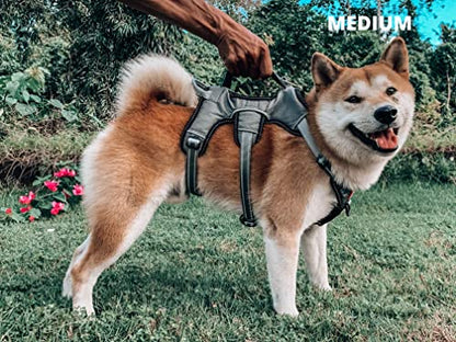Tuff Pupper Escape Proof No Escape Dog Harness | 5 Point Adjustable Fit Harness for Dogs | Padded Dog Harnesses | Handle Dog Lift Harnesses - color: Steel Grey, size: Medium