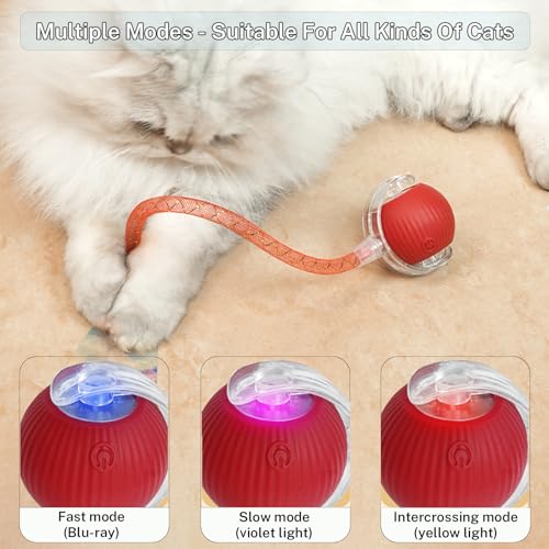 New Upgraded Cat Ball Toy - Speedy Tail 3.0 Cat Toy, Interactive Cat Toy Ball, Stimulating Toys and Juguetes para Gatos, Cat Toys for Bored Indoor（Sound Switchable） (Green) - color: A-Green