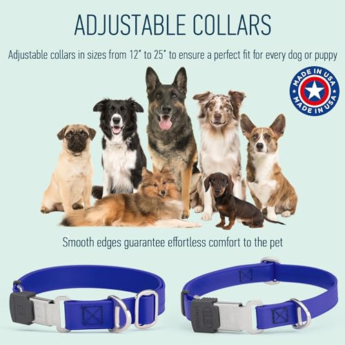 Biothane Waterproof Durable Dog Collar with Herm Sprenger - Quick Release ClicLock Buckle - Fits Medium and Large Dogs - Made in USA (Blueberry Royal, W 3/4" x L 12"-19") - color: Blueberry Royal, size: W 3/4" x L 12"-19"