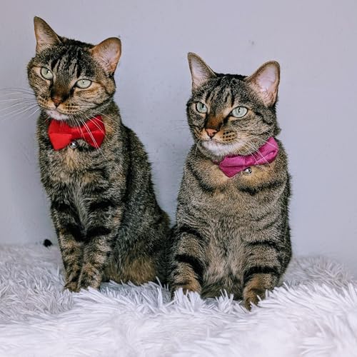 Velvet Bowtie Cat Collar with Bell – Adjustable Breakaway Purple Cat Collar for Adult Cats (7–11 in) - color: Purple