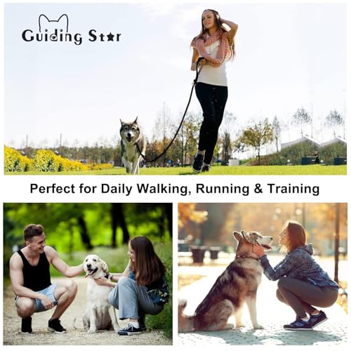 Guiding Star Double Handle Leather Dog Leash 6ft, Heavy Duty Braided Dog Leash with Traffic Handle for Small Medium & Large Dogs (Black, 6ft x 5/8 inch) - color: Black