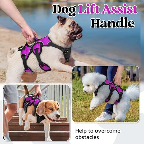 rabbitgoo Escape Proof Dog Harness, Soft Padded Full Body Pet Harness, Reflective Adjustable No Pull Vest with Lift Handle and Lesh Clip for Large Dogs Walking Hiking Training, S, Purple - color: Purple, size: Small (Pack of 1)