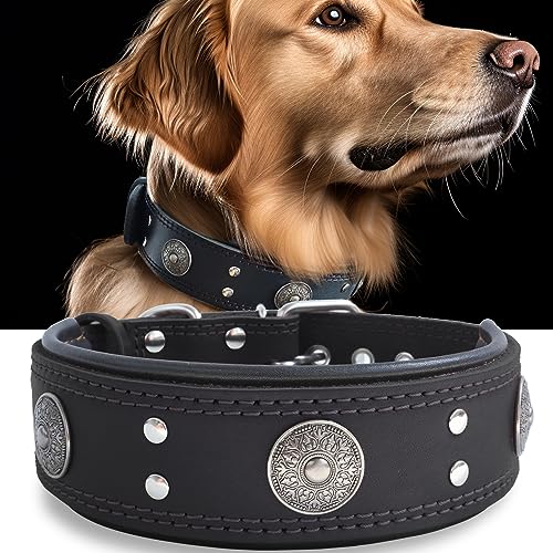 Leather Dog Collar, 2 inches Wide Heavy Duty Genuine Leather Collars, Handmade, Soft, and Luxury, Eye-catching Best Choice for Large and Medium Breed Dogs, Black 15-19 in - color: Black, size: 15-19 in