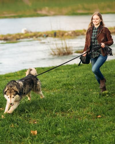 Waterproof Long Leash for Dogs Training 16FT/30FT/50FT, Long Dog Leash Heavy Duty,Dog Lead for Large Medium Small Dogs Outside Walking, Playing, Camping, or Yard(Black 30FT)
