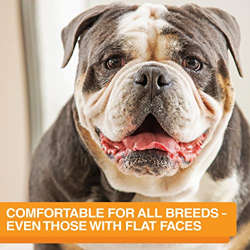 The Niner Slow Feed Bowl - Raised Peaks Slow Down Pets Eating - Fits Elevated Feeders Including Neater Feeder Large Sizes - Gentle on Teeth and Gums - Holds up to 2 Cups (Aquamarine) - color: Aquamarine