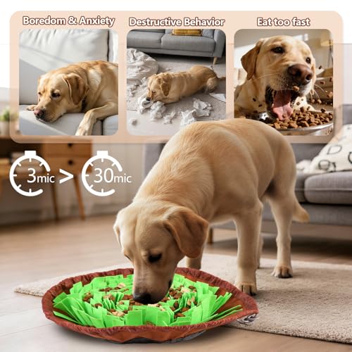 Snuffle Mat for Dogs Cats, Interactive Pet Non Slip Sniff Mat for Slow Eating Cognitive Puzzle Feeder for Enrichment Mental Stimulation Toys Keeping Boredom Away