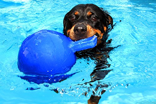 Jolly Pets Tug-n-Toss Heavy Duty Dog Toy Ball with Handle, 4.5 Inches/Small, Blueberry, JP445BLUEBERRY - color: Blueberry, size: Small (4.5 in)