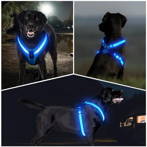 Light Up Dog Harness, LED Dog Harness Rechargeable, Glow in the Dark, LED Dog Vest Reflective, Light Up Harness for Dogs, Dog Lights for Night Walking, Blue, XL - color: Blue