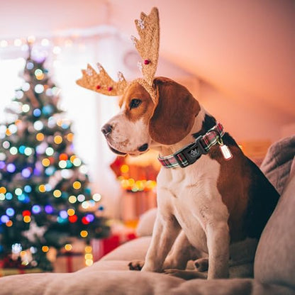 Elegant littlle Tail Christmas Dog Collar, Red Plaid Pet Collars Soft Cotton Winter Dog Collar with Quick Release Buckle Pet Puppy Collars for Small Medium Large Dogs - color: Christmas-Red Plaid, size: X-Small (Pack of 1)