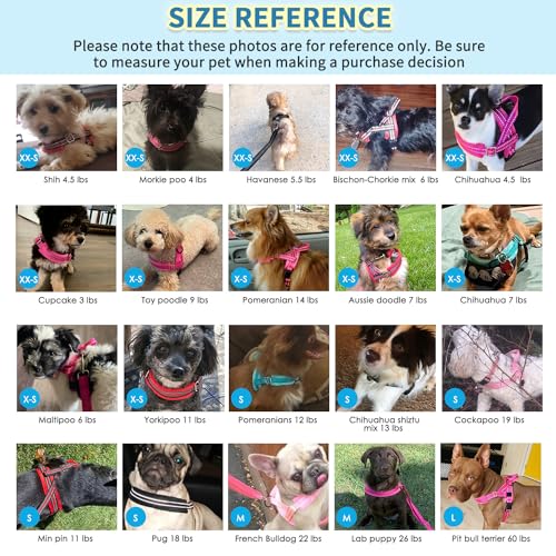 SlowTon No Pull Small Dog Harness and Leash Set, Puppy Soft Vest Harness Neck & Chest Adjustable, Reflective Lightweight Harness & Anti-Twist Pet Lead Combo for Small Medium Dogs (Fuchsia, XXS) - color: A-Fuchsia - With Front Clip, size: XX-Small