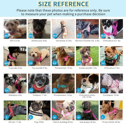 SlowTon No Pull Small Dog Harness and Leash Set, Puppy Soft Vest Harness Neck & Chest Adjustable, Reflective Lightweight Harness & Anti-Twist Pet Lead Combo for Small Medium Dogs (Fuchsia, XXS) - color: A-Fuchsia - With Front Clip, size: XX-Small