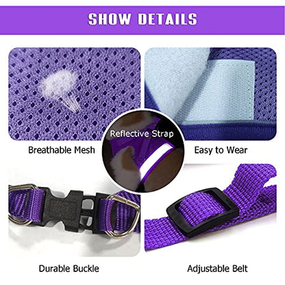 Dog Harness and Leash Set for Walking, Soft Mesh Adjustable Easy Control Lightweight Cat Vest Harnesses with Reflective Strips, Escape Proof Small Dogs Cats Vests - color: Purple, size: Medium