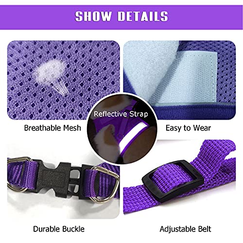 Dog Harness and Leash Set for Walking, Soft Mesh Adjustable Easy Control Lightweight Cat Vest Harnesses with Reflective Strips, Escape Proof Small Dogs Cats Vests - color: Purple, size: Small