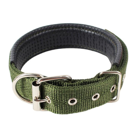 Padded Nylon Dog Collar with Soft Lining, Metal Buckle, Multiple Colors, 3x58cm, Neck Size 38-47cm (Green) - color: Green