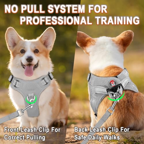 Dog Harness Step in Dog Vest Harness, Reflective Adjustable Puppy No Pull Harness Breathable Soft for Small and Medium Dogs Cats, Grey, XS - color: Grey, size: X-Small