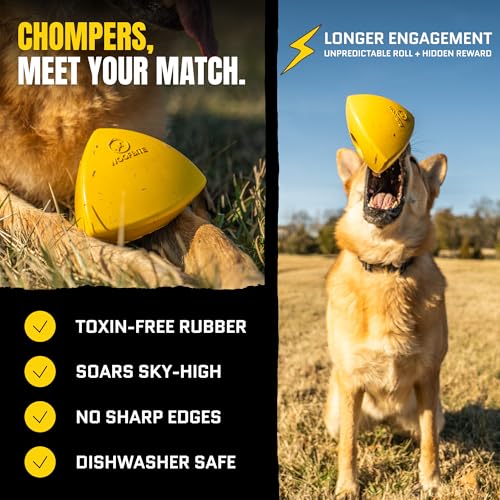 Virtually Indestructible Pyramid Dog Toy - Lifetime Replacement - Tough, Durable Chew Toy for Aggressive Chewers - Safe Non-Toxic Natural Rubber - Chew, Tug, Fetch - Med/Large Breed - 5"x4"