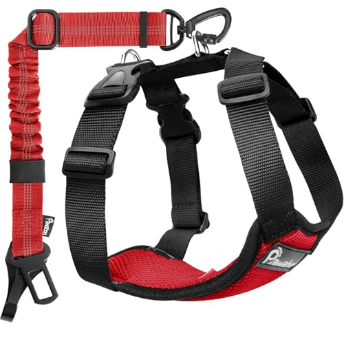 Pawaboo Dog Seat Belt Harness for Car, Dog Car Harness Seatbelt with Double Clips, Adjustable Breathable Pet Vest & Dogs Safety Tether with Elastic Bungee for Small Medium Large Pet, M, Red+Black - color: Red+Black, size: Medium