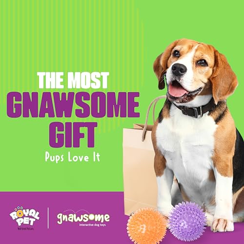 Gnawsome Medium Squeaker Ball Dog Toy, Medium 3.5", Colors will vary, All Breed Sizes - size: Medium