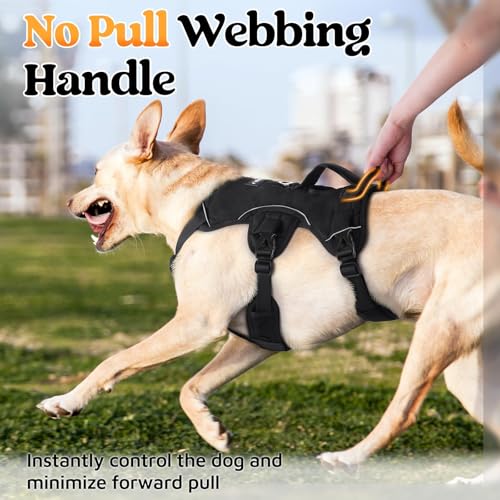 rabbitgoo Escape Proof Dog Harness, Soft Padded Full Body Pet Harness, Reflective Adjustable No Pull Vest with Lift Handle and Leash Clip for Large Dogs Walking Hiking Training, M, Black - color: Black, size: Medium (Pack of 1)