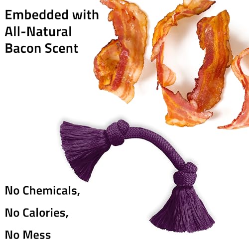 Playology Dog Toys | Dri-Tech Rope Tug of War Dog Toy for Tough Chewers | Bacon Scented Medium Tug Rope Toys for Dogs - size: Medium, style: Bacon