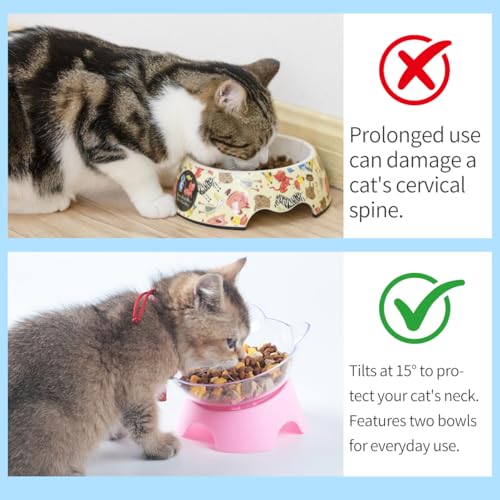 MILIFUN Raised Cat Food Bowls with Stand, Cat Dishes for Food or Water, Tilted Bowl, Pet Dish with Stand