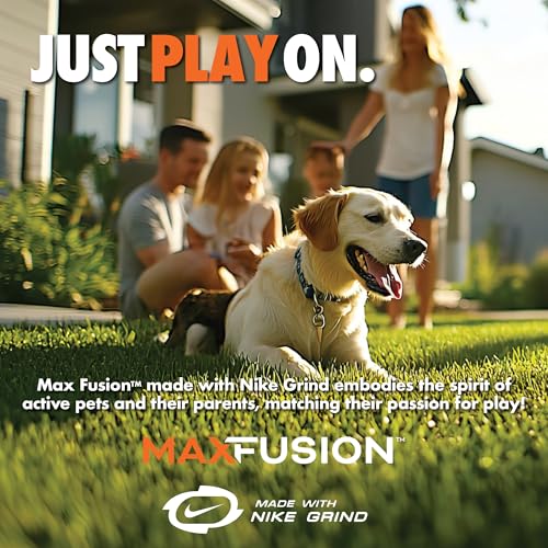 Max Fusion with Nike Grind, Dog Sticks, Arlee Twiggy Dog Toy, Chew Toy for Play, Fetch, Tug, L - color: Tie Dye Purple/Blue Twiggy, size: Large